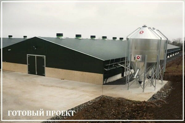 Этапы возведения птицефабрики от завода ВелесТент-улб